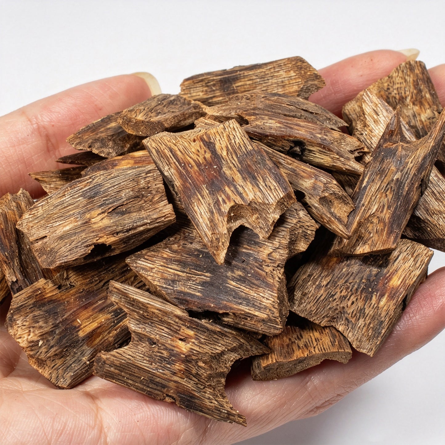 Natural Hainan Kyara Agarwood Raw Material Pieces | Premium Resin-Rich Wood Blocks | Floral Honey Sweet Scent with Cool Milky Notes | Home Incense Burning Supply | 50g