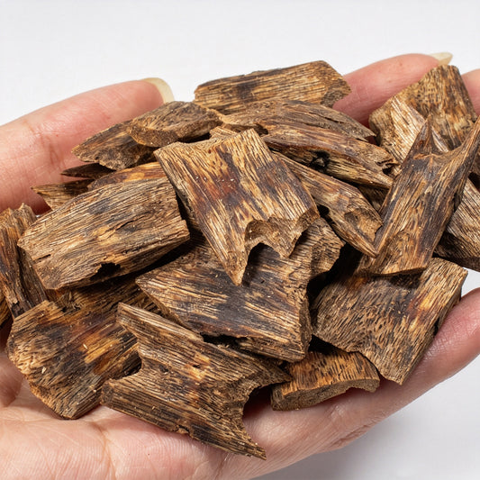 Natural Hainan Kyara Agarwood Raw Material Pieces | Premium Resin-Rich Wood Blocks | Floral Honey Sweet Scent with Cool Milky Notes | Home Incense Burning Supply | 50g
